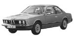 BMW E24 P2059 Fault Code